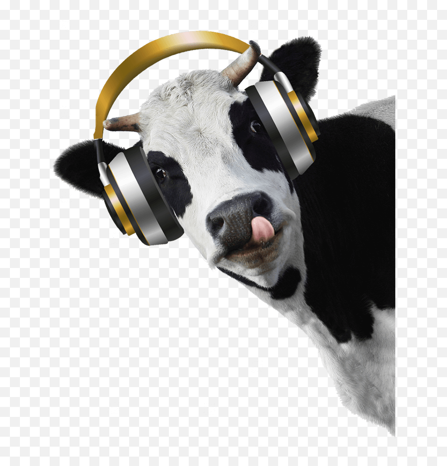 Cow Head Transparent Background - Cow Head White Background Png,Cow Head Png