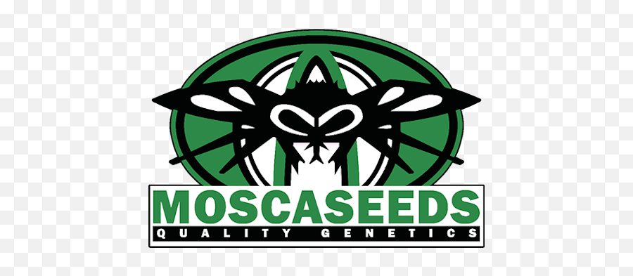 Mosca - Mosca Seed Pack Png,Bruce Banner Png