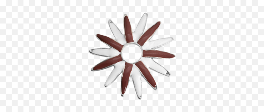 Brown White Flower - Cut Flowers Png,White Flower Transparent