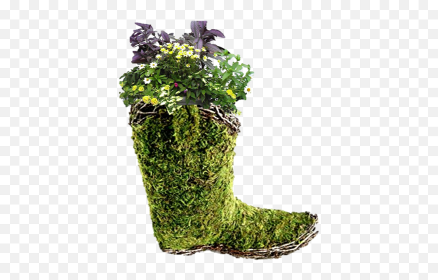 Cowboy Boot Planter U2014 Edible Walls - Rain Boot Png,Planter Png
