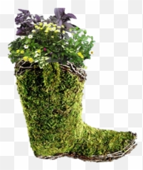 Cowboy Boot Planter U2014 Edible Walls - Rain Boot Png,Planter Png