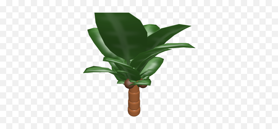Palm Treepng - Roblox Roystonea,Palm Tree Png