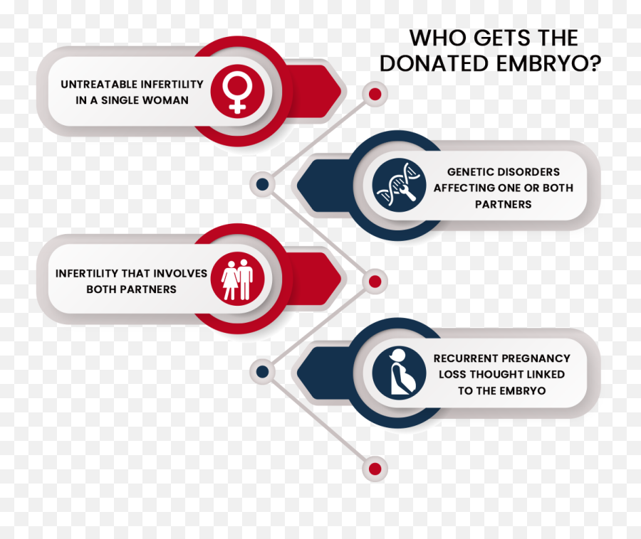 Embryo Donation Bathinda Punjab - Cost U0026 Procedure Details Infographic Png,Embryo Png