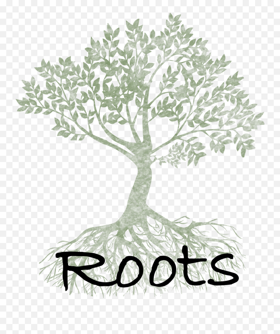 Vegan Organic Bioavailable Skincare Roots Handmade - Drawing Png,Tree With Roots Png