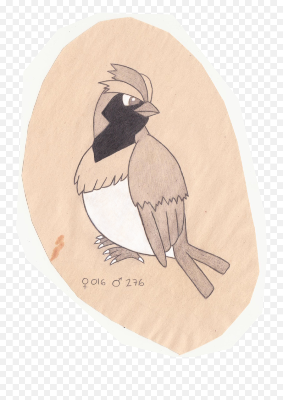 Habitat Drawing Bird Transparent U0026 Png Clipart Free Download - Bufflehead,Pidgey Png