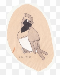 Habitat Drawing Bird Transparent U0026 Png Clipart Free Download - Bufflehead,Pidgey Png