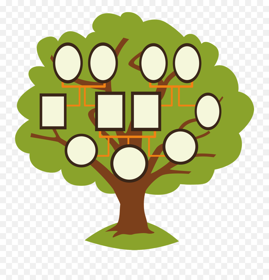 Family Tree Clipart - Tree For Family Tree Clipart Png,Family Tree Png