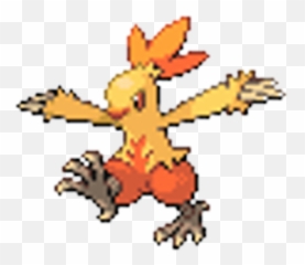 Combusken - Pokemon Reborn Shiny Mudkip Png,Torchic Png