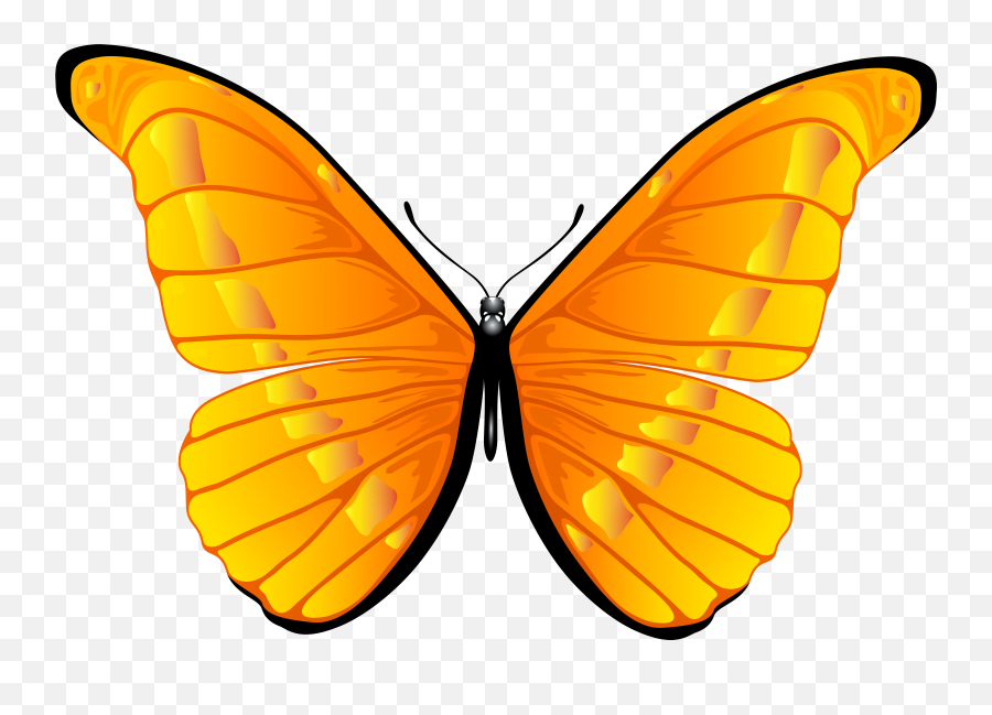 Transparent Butterfly Clipart - Clipart Butterfly Png,Butterfly Transparent