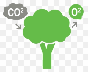Forest 101 Forests In New York City Parks Nyc - Language Png,Fragmentation Icon