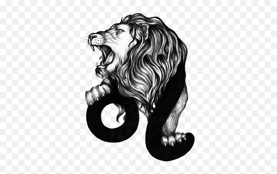 Leo Horoscope 2022 Yearly Predictions - Times Of India Lion Leo Symbol Png,Leo Icon