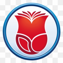 Roselle Public Library District Il - png