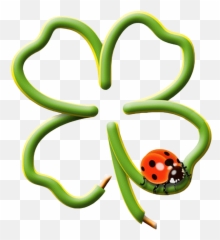 Klavertje Vier Met Lieveheersbeestje Clipart - Full Size Boa Sorte Png