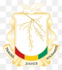 Add Guinea App To The Play Store After Release Today Issue - Alternate Flag Of png