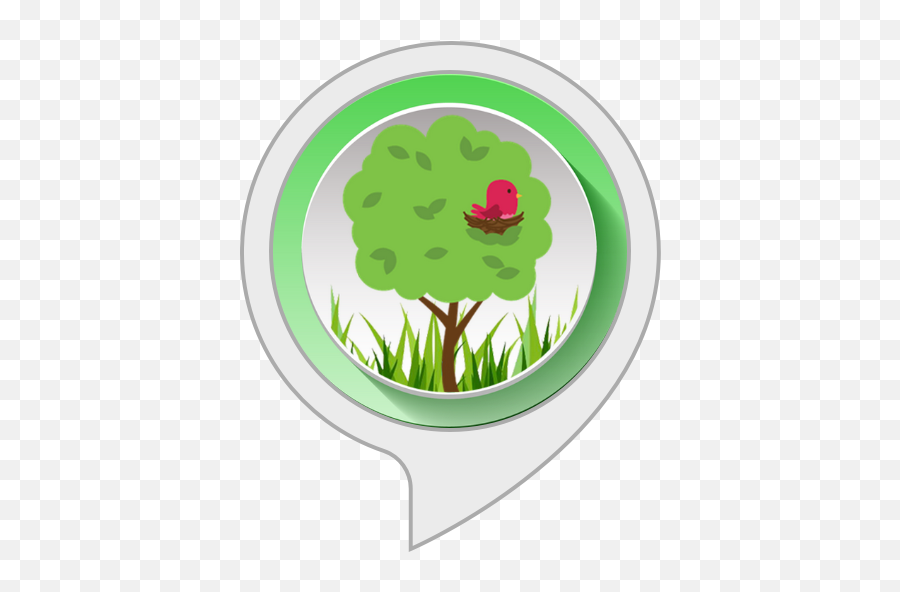 Relaxation Aid Rainforest Sounds Amazonca Alexa Skills - Hochschule Kehl Png,Gmx Icon Download