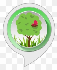 Relaxation Aid Rainforest Sounds Amazonca Alexa Skills - Hochschule Kehl Png,Gmx Icon Download