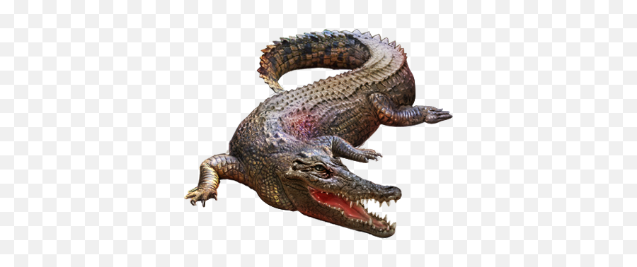 Crocodile Png - Crocodiles Png,Alligator Transparent Background
