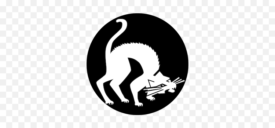 Apollo Black Cat - Me3068 Production Advantage Marsupial Png,Cute Kangaroo Icon Silhouette