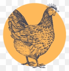 Cypress Valley Meat Company Humane Full - Service Processing Comb Png,Google Circle Icon