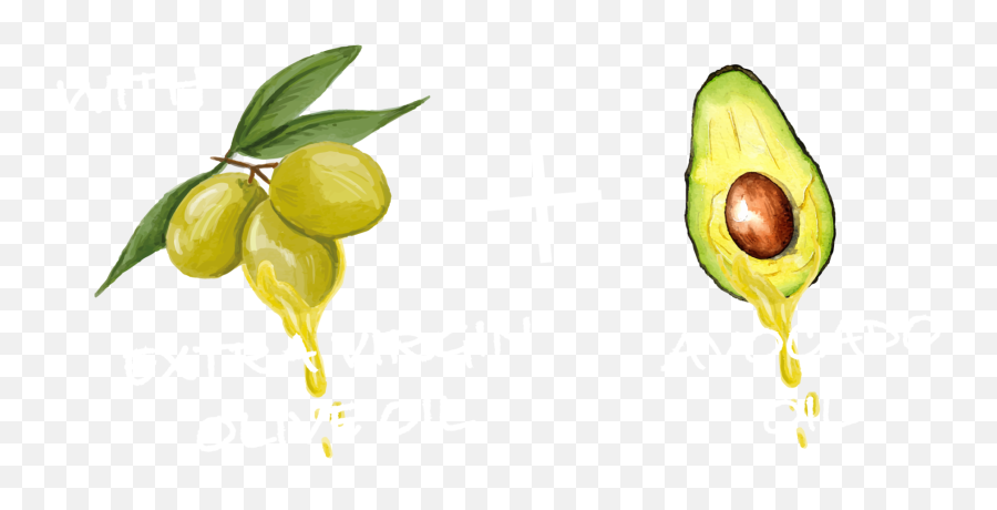 Home - Green Food Sweet Lemon Png,Avocado Transparent Background