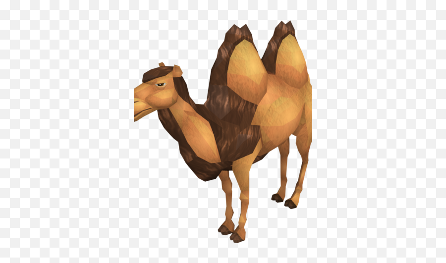 Cart Camel Runescape Wiki Fandom - Dromedary Png,Camel Png