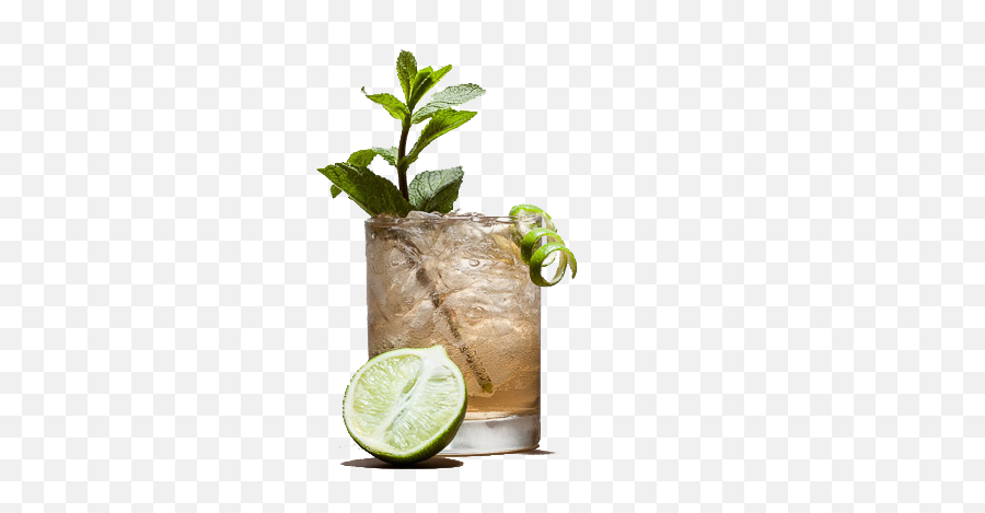 Mint Mule - Deathu0027s Door Spirits Vodka And Tonic Png,Mule Png