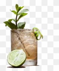 Mint Mule - Deathu0027s Door Spirits Vodka And Tonic Png,Mule Png