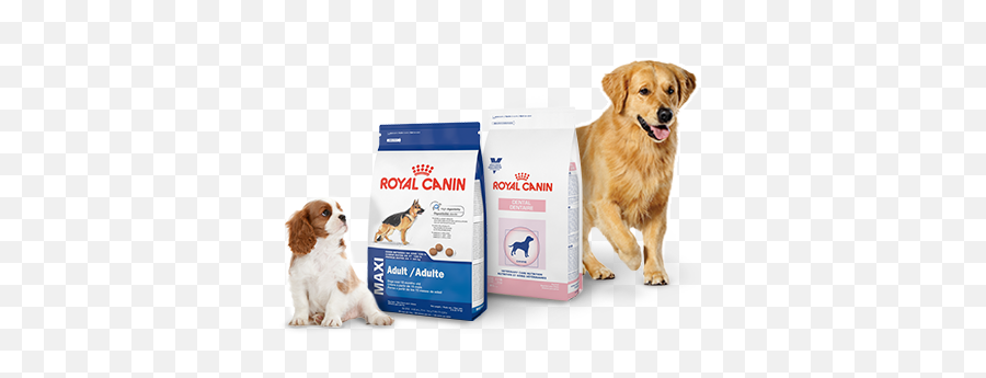 Dog Cat Png 2 Image - Royal Canin Products,Dog And Cat Png