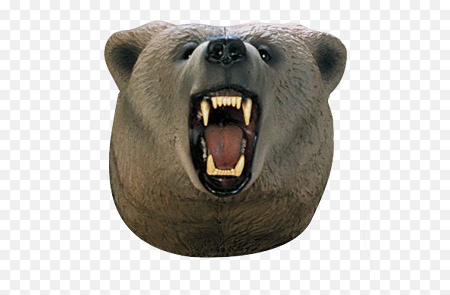 Grizzly Bear Archery Target Replacement Head - Mouth Parts Of A Bear Png,Grizzly Bear Png