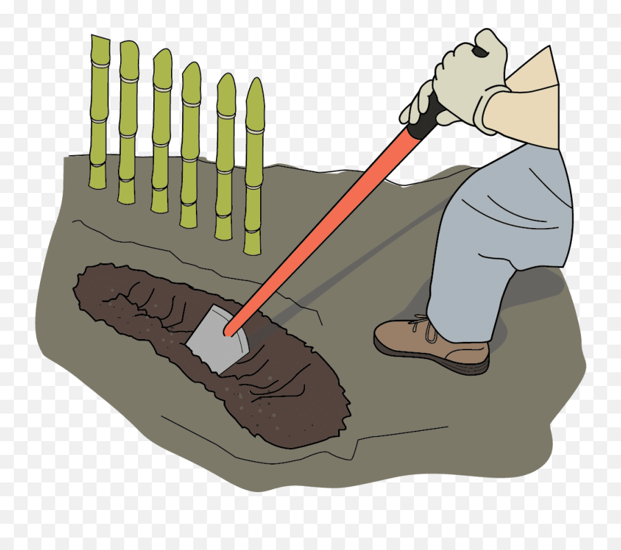 Download Hd Dig Trench With Shovel A Small Is Dug In - Zanja Dibujo Png,Shovel Transparent Background