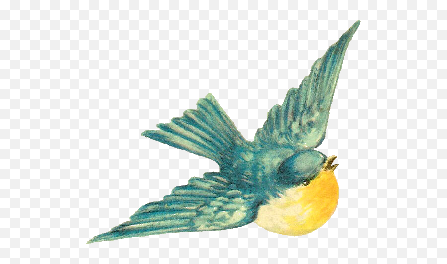 Antique Images Free Bird Clip Art Vintage - Free Clipart Vintage Bluebirds Png,Blue Bird Png
