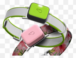 Whistle Go Explore Gps Pet Trackers - Whistle Go Png,Collar Png