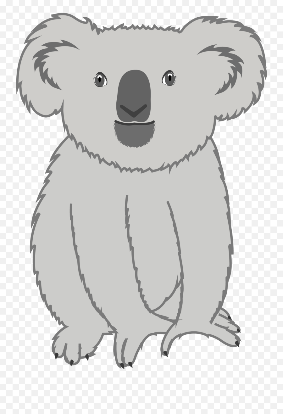 Koala Tagged Mens - Luca Clothing Co Drawing Koala Bear Png,Koala Transparent