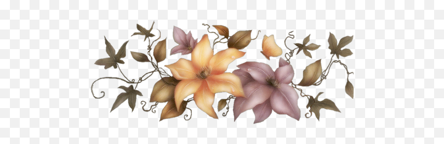 Index Of Userstbalzeflowerpng - Magnolia Beauty Flower Png,Lily Flower Png