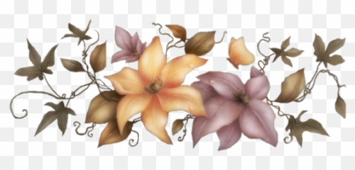 Index Of Userstbalzeflowerpng - Magnolia Beauty Flower