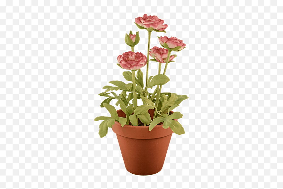 Convert Png To Gif - Online Png Tools Potted Plant Transparent Background,Plant Pngs