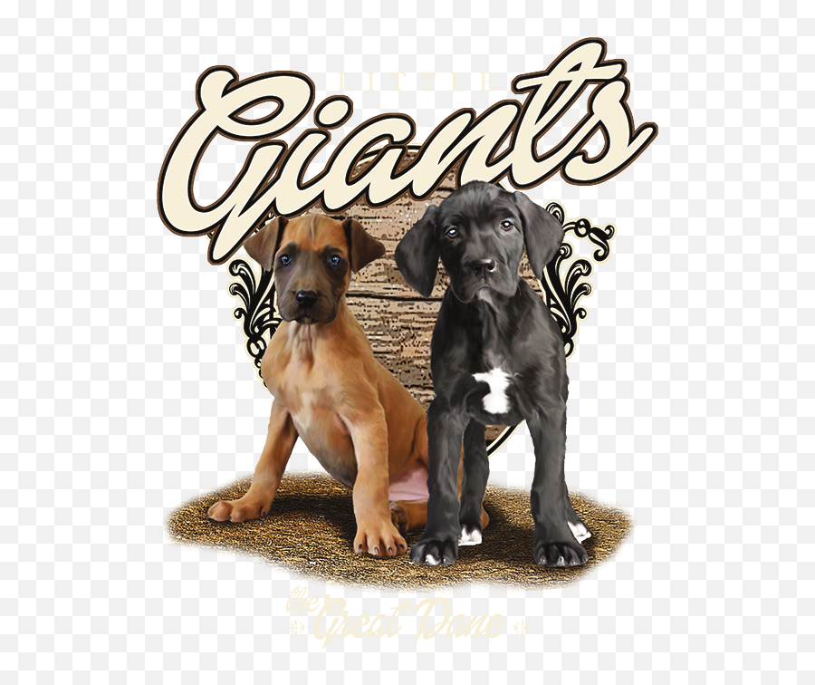 Great Dane Png - Companion Dog,Great Dane Png