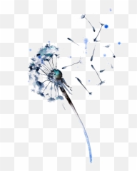 Colored Dandelion Png Free Download Mart - Diente De Leon Acuarela,Dandelion Transparent