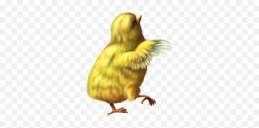 Chicken Png Transparent Background - Freeiconspng Lord Is My Strength Good Morning,Chickens Png