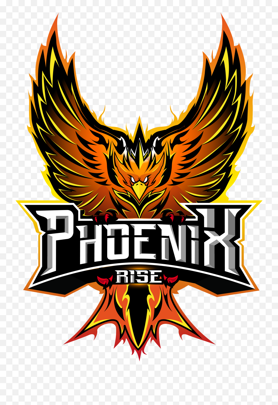 Virtual Pro Gaming The Future Of Esports - Phoenix Logo Gaming Png,Spetznas Logo