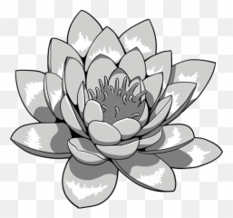 Lotus Flower Black And White Png Transparent - Japanese Png