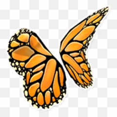 Monarch Wings - Girly png