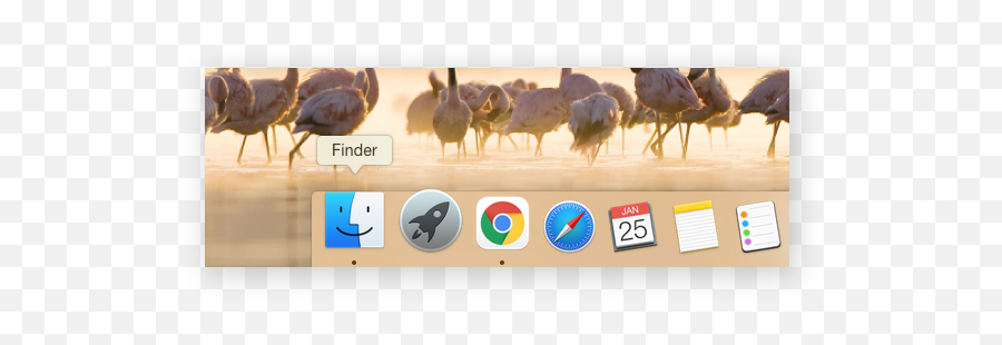 How To Clean Up Your Mac A Step - Bystep Guide Avg Common Ostrich Png,Cleanmymac 3 Icon