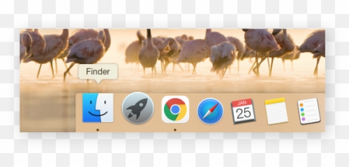 How To Clean Up Your Mac A Step - byStep Guide AVG Common Ostrich png