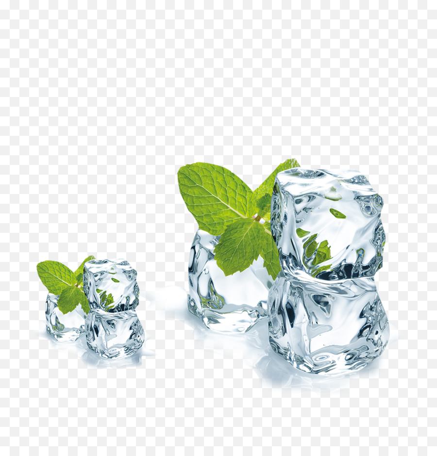Cube Menthol Spicata Ice Juice Mentha Mint Clipart Vectors - Ice Cube Ice Png,Ice Cube Png