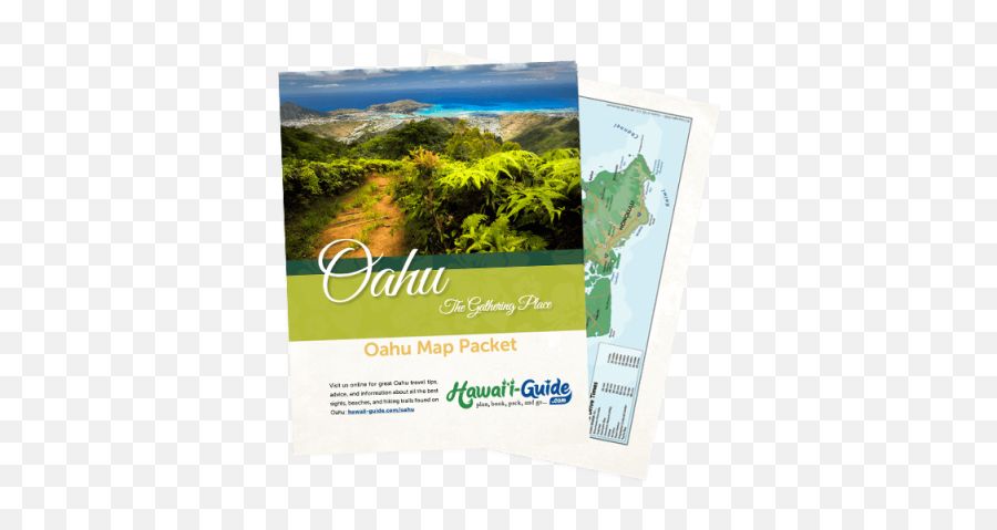 Oahu Travel Information Top 10 Things To Do Map U0026 Regions - Vertical Png,Tourist Info Icon