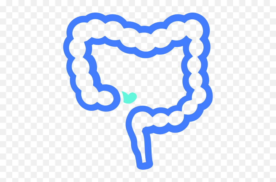 Colorectal Vector Icons Free Download In Svg Png Format - Dot,Colon Icon