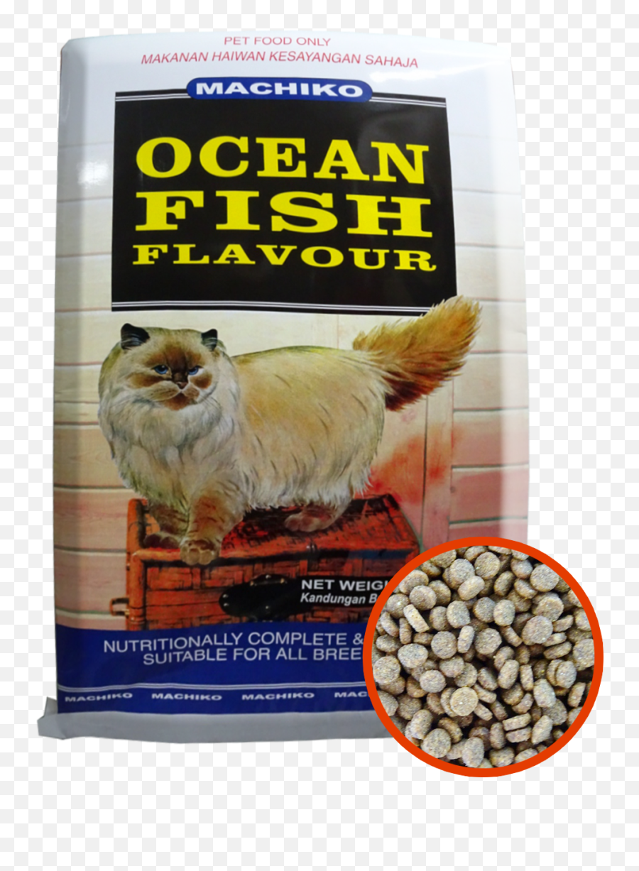 Machiko Ocean Fish - Ocean Fish Cat Food Png,Ocean Fish Png