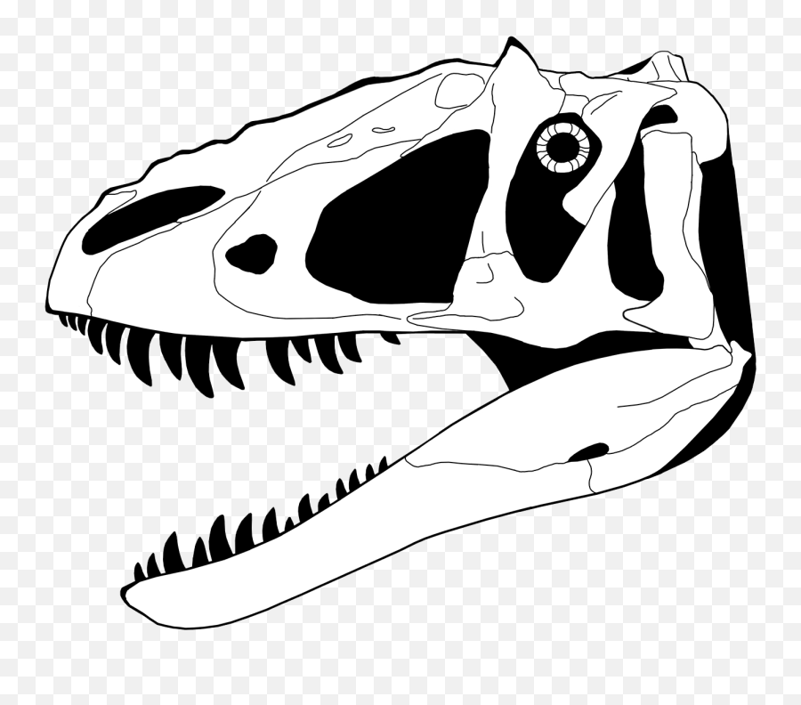 Dinosaur Skull Clipart - Dinosaur Bones Coloring Pages Png,Dinosaur Skull Png