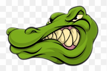 Download Gator - Crocodile Head Cartoon Png,Gator Png